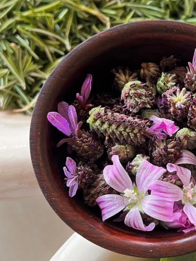 Ayurvedic wellness and natural healing